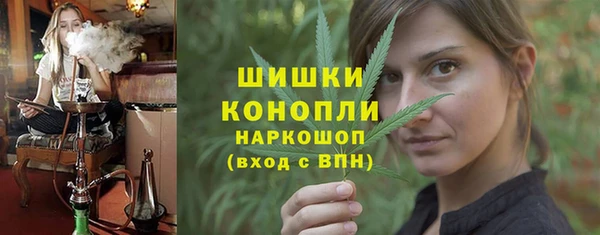 спайс Арсеньев