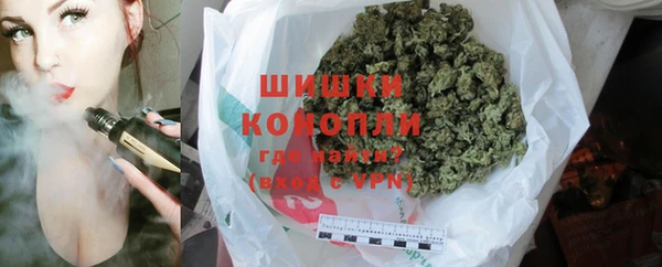 спайс Арсеньев