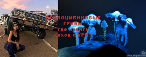 спайс Арсеньев